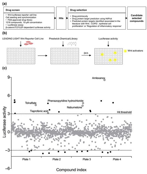 High Throughput Drug Screen And Candidate Compound Selection A Download Scientific Diagram