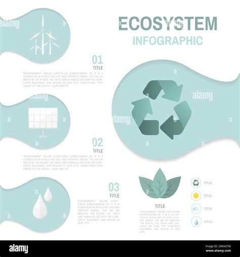 Ecosystem Infographic Environmental Conservation Vector Stock Vector