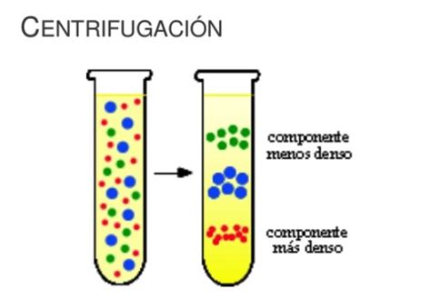 Qué es la centrifugación Blog didáctico