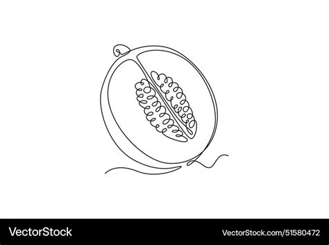 Single One Line Drawing Half Sliced Healthy Vector Image