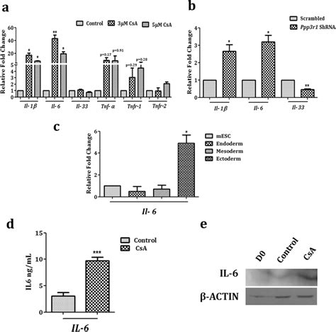 Mescs Treated With Csa During Neural Differentiation Show Increased