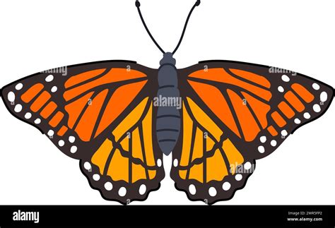 Schmetterling Png Stock Vektorgrafiken Kaufen Alamy