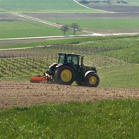 Semis De Tournesol Ferme Au Fil Du Vent