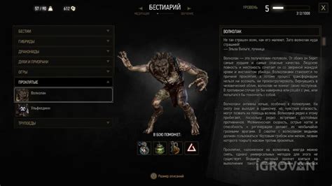 Дикое сердце (Ведьмак 3): прохождение, три концовки