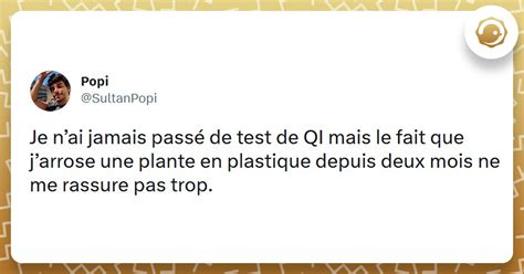 Top Des Meilleurs Tweets Sur Les Tests De Q I Twog