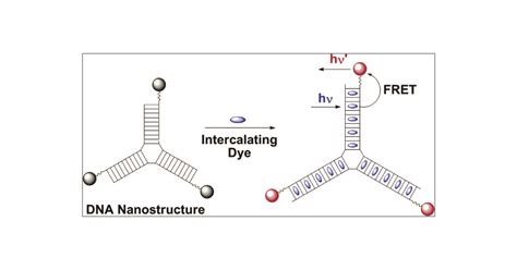 Fluorescent Dna Nanotags Supramolecular Fluorescent Labels Based On