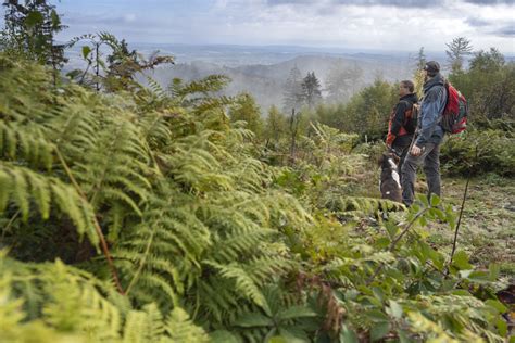 Naturpark TERRA.vita : Neuer Masterplan für TERRA.vita