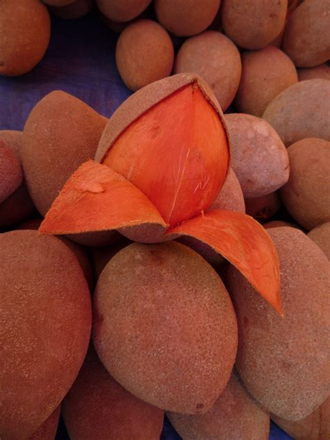 Beneficios Del Mamey Mexiwoman