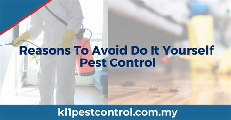 Reasons To Avoid Do It Yourself Pest Control Kl1 Pest Control