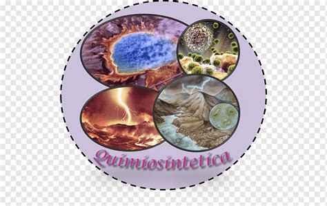 Teoria Kimiosintetiko Organism Abiogenesis Biology Life، Others متنوعة الغلاف الجوي الصفيحة Png