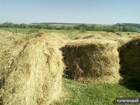 Продам СЕНО в круглых тюках в Самаре