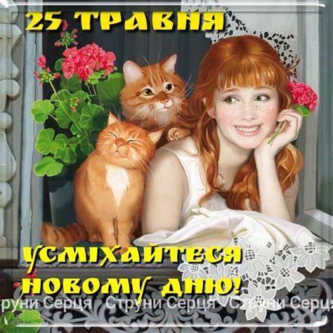 25 травня