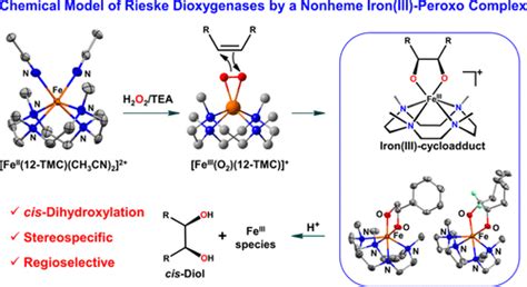 Seeing The Cis Dihydroxylating Intermediate A Mononuclear Nonheme Iron