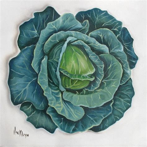 Cabbage Painting By Ilse Kleyn