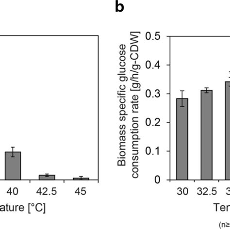 Characteristics Of The C Glutamicum Wild Type Strain Under Aerobic And