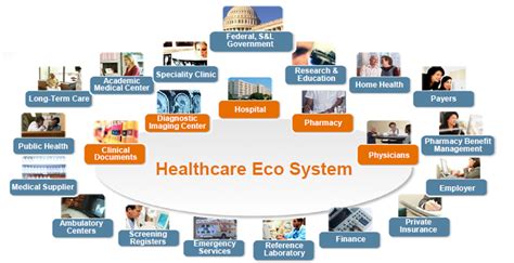 Health Care Ecosystem Diagram