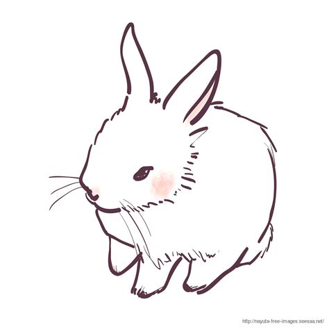 イラスト うさぎ1 大 2000×2000ピクセル Nayuta Free Images