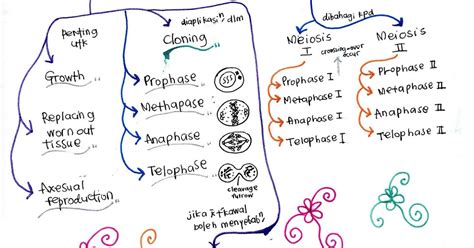 Nota Biologi Tingkatan Bab Peta Minda Pelajar Boleh Mengulangkaji
