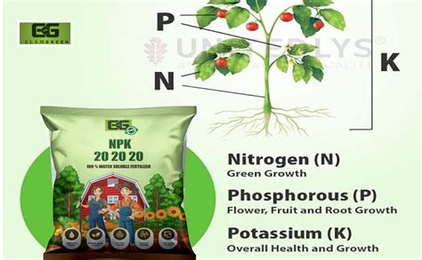 Elamgreen Plant Fertilizer For All Vegetableflowering Plants 500gramkg