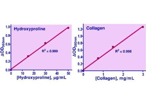 Bioassay Systems Quantichrom Hydroxyproline Assay Kit For Quantitative