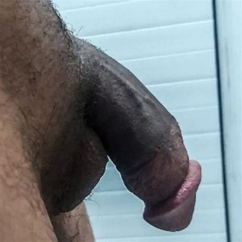 Persian Group Sex XHamster