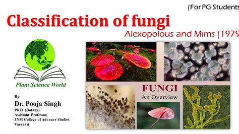 Classification Of Fungi Alexopolous And Mims Youtube