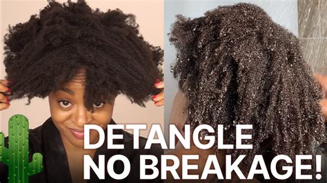 How To Detangle Dry Dusty C Hair After A Week Of Wash And Gos No