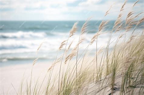 Premium Ai Image Sea Oats On The Beach Ocean And Sky