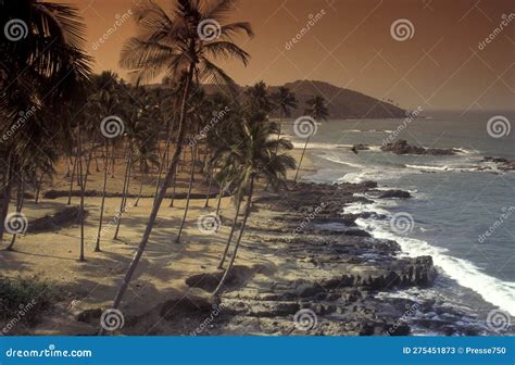 India Goa Landscape Beach Stock Image Image Of India 275451873