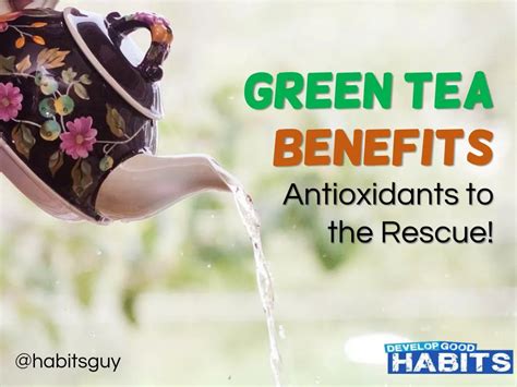 PPT - Green Tea Benefits: Antioxidants to the Rescue PowerPoint ...