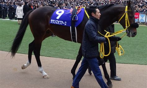 ｻｳﾝｽﾞｵﾌﾞｱｰｽ5回中山8日 10r 第60回ｸﾞﾗﾝﾌﾟﾘ 有馬記念gi出走馬 写真共有サイト「フォト蔵」