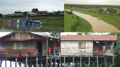 Viagem Pela Comunidade Do Rio Amazonas Cristo Rei Lago Do Rei Careiro