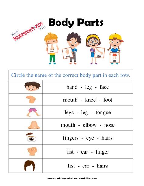 Body Parts Worksheet 6