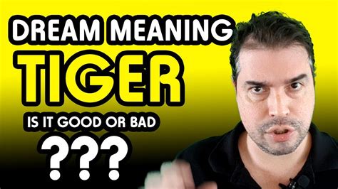 Tiger Dream Meaning What Does It Mean To Dream About Tiger Youtube