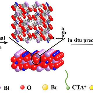 Schematic Illustration Of The Formation Process Of AgBr BiVO4