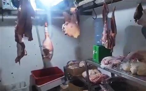 Pol Cia Apreende Kg De Carne Estragada Em A Ougue Na Zona Norte Do