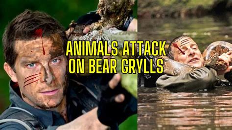 Man Vs Wild In Hindi Full Episode Patagonia Bear Grylls Hindi