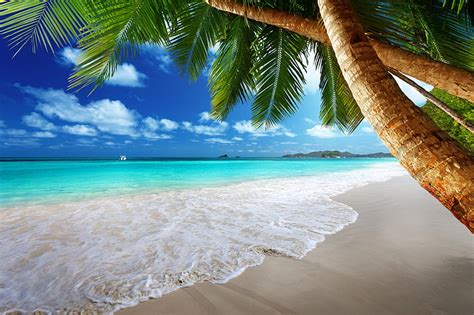 Hd Wallpaper Sand Sea Wave Beach Summer The Sky Palm Trees