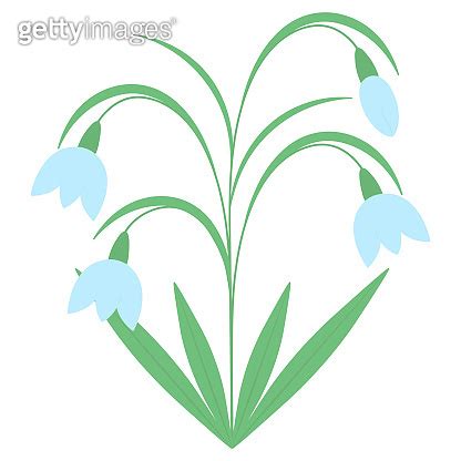 Snowdrops Spring Bouquet Color Vector Illustration Blue Buds