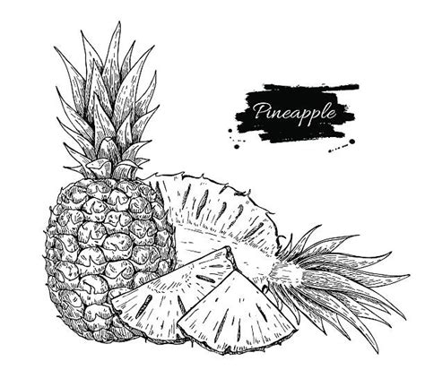 Pineapple Slice Illustrations Royalty Free Vector Graphics And Clip Art