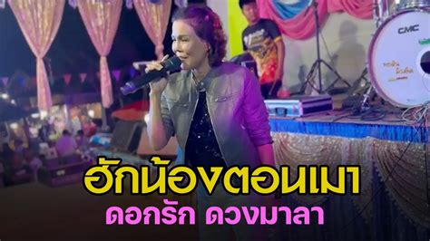 ฮกนองตอนเมา ดอกรก ดวงมาลา Live แสดงสด YouTube