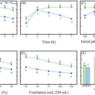 The effects of different initial conditions on the phenol degradation... | Download Scientific ...