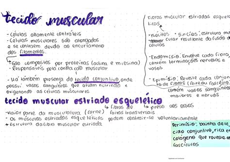 SOLUTION Tecido Muscular Studypool