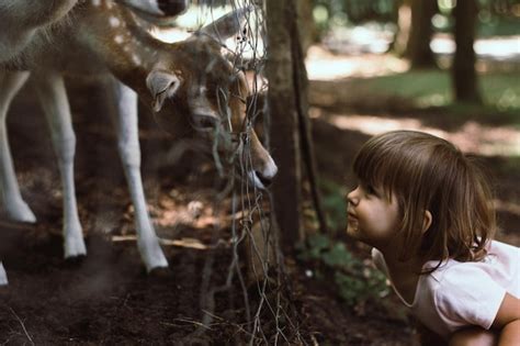 Premium Photo Side View Of Girl With Deer