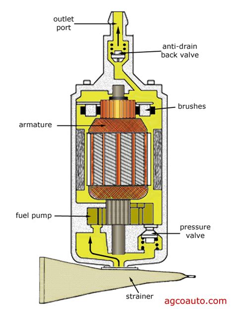 Fuel Pump Parts Diagram