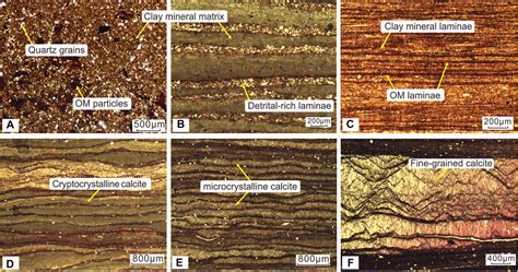 Frontiers The Control Of Diagenesis And Mineral Assemblages On