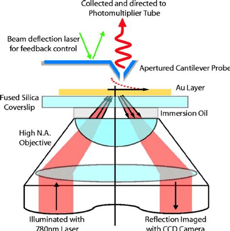 Color Online Schematic Of Photon Scanning Tunneling Microscope