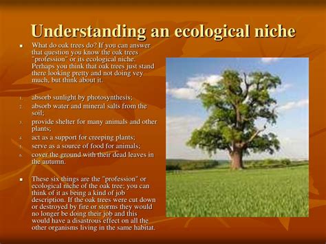 Ppt Natural Selection Adaptations And Niches Powerpoint