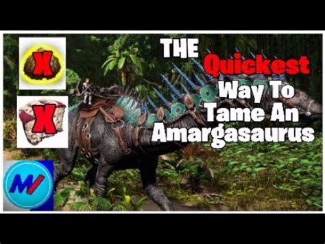 Ark How To Tame An Amargasaurus In 1 Hour With High Effectiveness