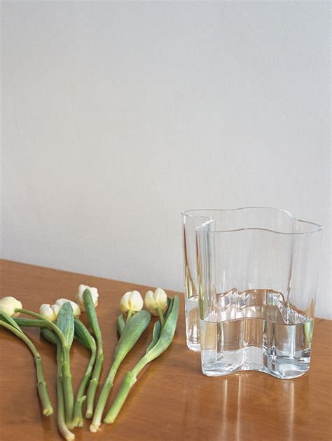 Things — Alvar Aalto Vase